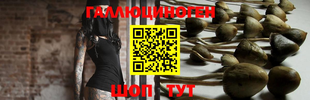 Качканар  Псилоцибиновые грибы Magic Shrooms  Вход с VPN 